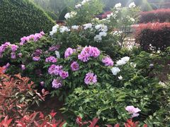 -洛阳市隋唐城遗址植物园