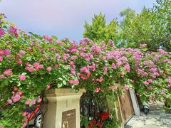 -天津五大道文化旅游区