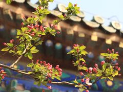 -天坛公园
