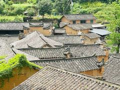 -杨家堂村