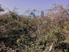 -鸿山公园