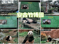 -安吉竹博园