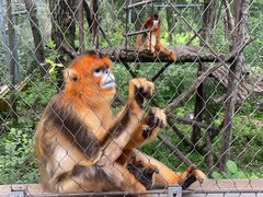 -哈尔滨北方森林动物园