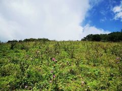 -秦岭终南山世界地质公园翠华山景区