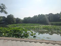 -北陵公园