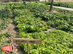 -上海山野camping·户外天幕烧烤·团建拓展营地