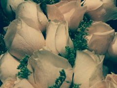 -ROSEONLY诺誓(国际广场购物中心店)