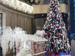-天津梅江中心皇冠假日酒店