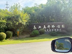 -上海长兴岛郊野公园