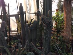 环境-北京植物园-展览温室