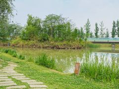 -白鹭湾湿地公园