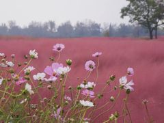 -汉长安城未央宫国家考古遗址公园