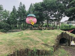 -田园东方蜜桃村的田野营地