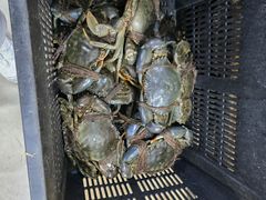 伊斯兰卡青蟹-無招牌海鮮(芽笼店)