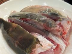 脆肉鲩鱼头-正能量脆肉鲩火锅