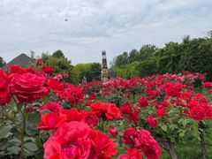 -郑州中国绿化博览园