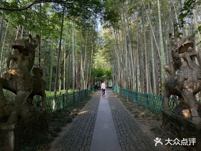 云栖竹径图片