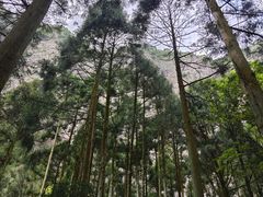 -雁荡山大龙湫景区