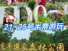 -东平国家森林公园