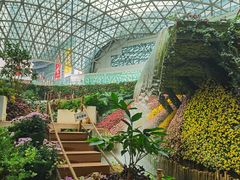 -花之城