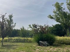 -汉长安城未央宫国家考古遗址公园