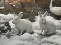 -山东省科技馆(新馆)
