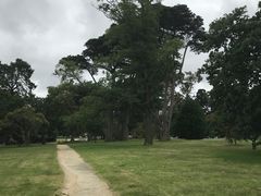-墨尔本皇家植物园