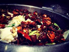 炝藏龙鱼-万和源炝锅城·活鱼现炝(文艺北路店)