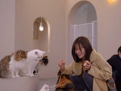 -More Fun猫咖 二十只万元加菲主题