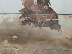 -青藏高原野生动物园