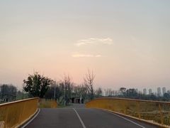 -白鹭湾湿地公园