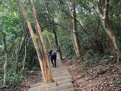 -梧桐山风景名胜区