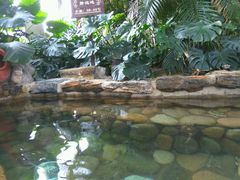-中家鑫园温泉酒店鑫悦汤泉