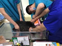 -天津前进宠物医院(前进道店)