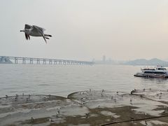 -星海广场