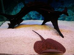 -绍兴梦享海洋公园