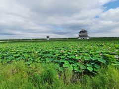 -呼兰河口湿地公园