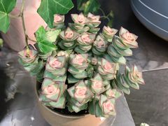 -blt精品超市(KKMALL京基店)