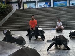 -广东惠东海龟国家级自然保护区