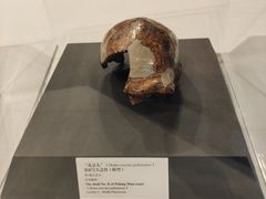 -北京周口店北京人遗址博物馆