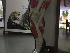 -中国西峡恐龙遗迹园