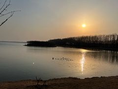 -丁香湖公园