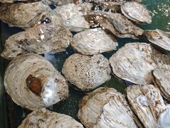 -大茄来海鲜餐厅(亚洲城分行)