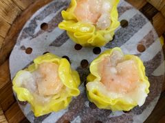 -肥佬夜茶(早茶·西乡店)
