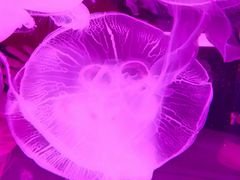 -长春中泰海洋世界