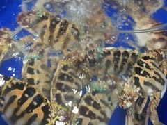 -QQ海鲜餐厅