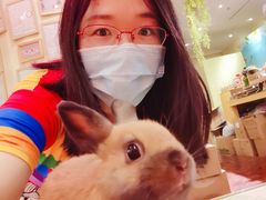 -宠物兔专门店(天丰利市场店)