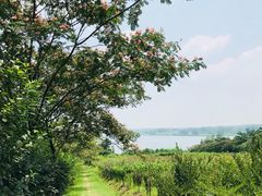 -南京金牛湖风景区