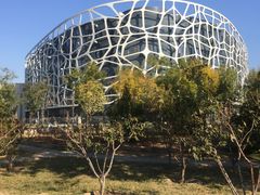 -首都医科大学附属北京天坛医院
