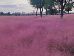 -汉长安城未央宫国家考古遗址公园